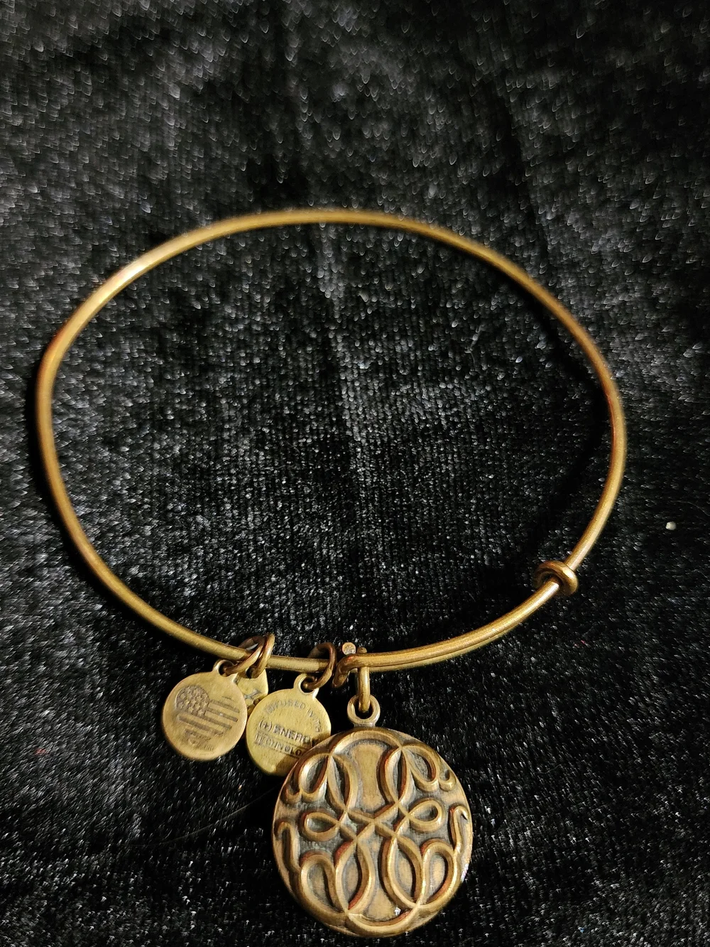 Alex and Ani Gold-Tone Bangle Bracelet with Filigree Round Pendant